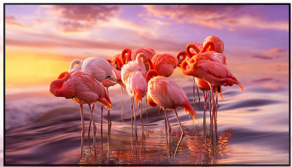 Samsung QE85QN900AU QLED HDR (2021)